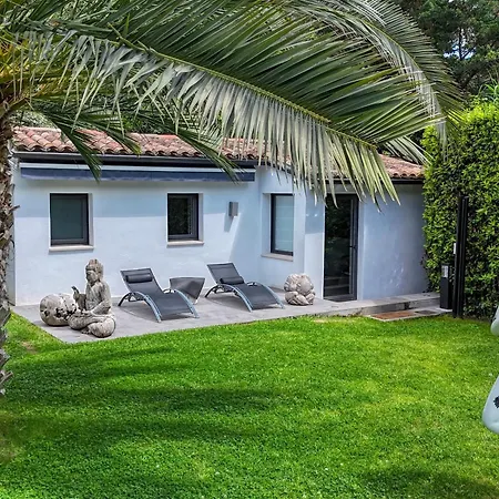 Vila Modern 5 Minutes From Place Des Lices *